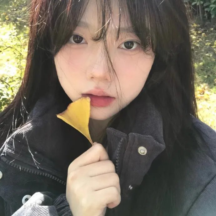 恋爱写真 (电影)